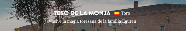 Venta de Teso la Monja