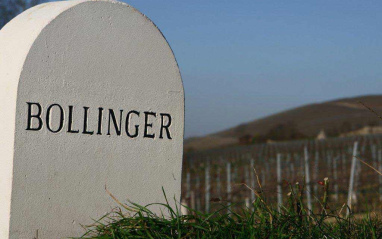 Algunas de las hectáreas de viñedos de Bollinger