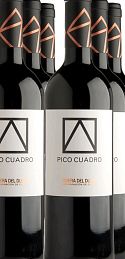Pico Cuadro 2013 (x6)