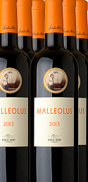Malleolus 2013 (x6)