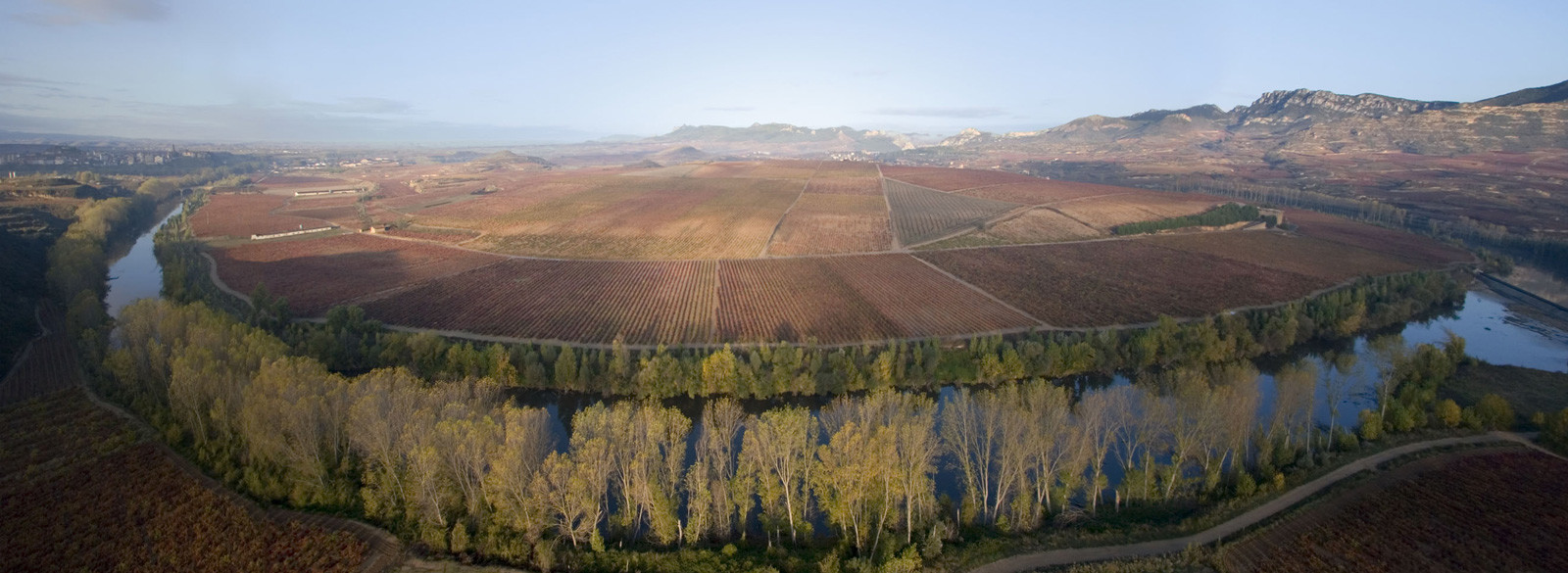 La Viña Tondonia