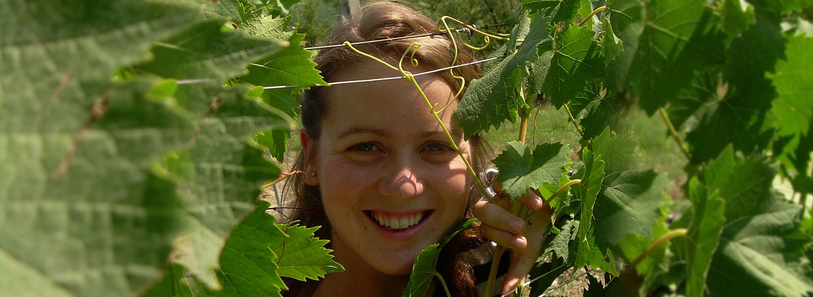 Las mujeres piden paso en el mundo del vino