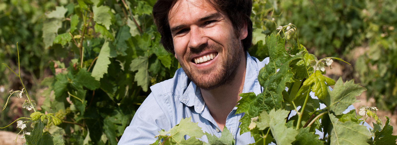 Entrevista a Bryan MacRobert, de Laventura Wines