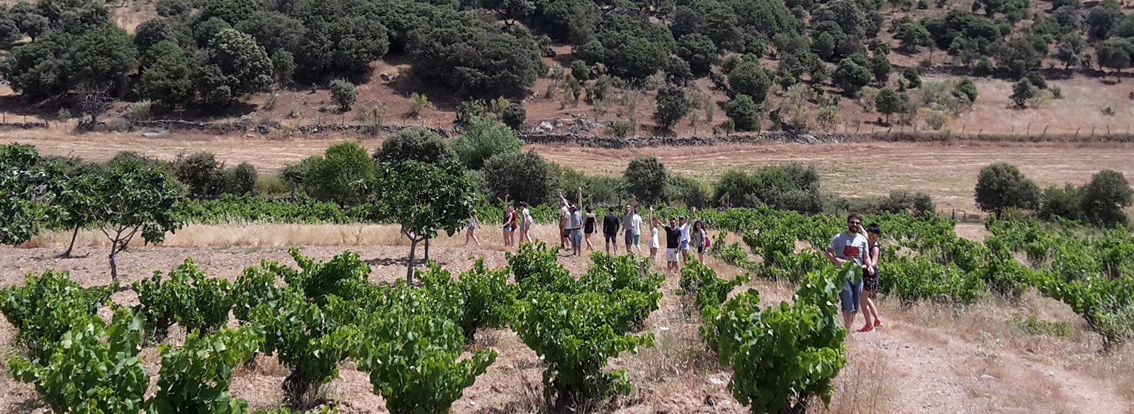 Catando en viña: el equipo Bodeboca en Gredos