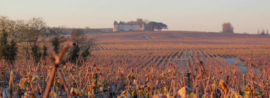 12 cosas que no sabías sobre Château d’Yquem (el mejor vino dulce del mundo)