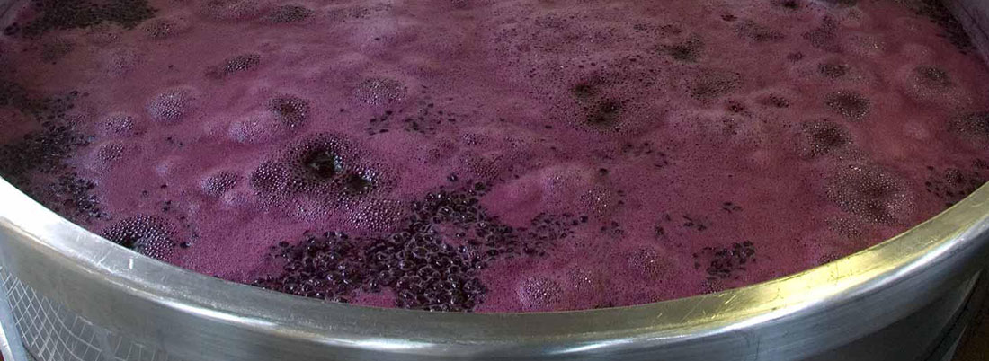 La fermentación alcohólica: el origen del vino