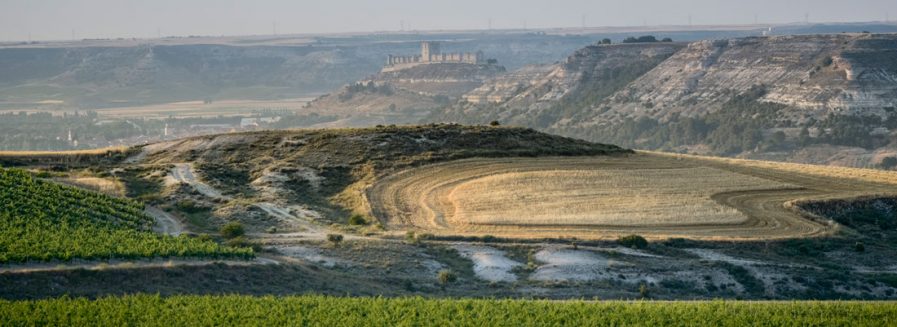 ¿Qué te aporta un vino de altura?