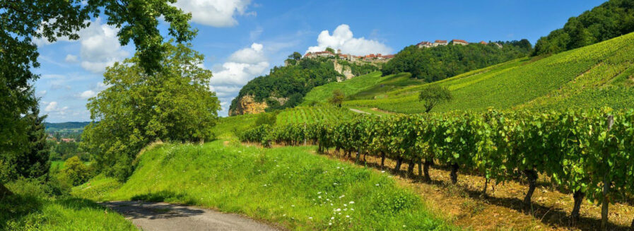 Guía rápida para introducirse en los vinos de Jura