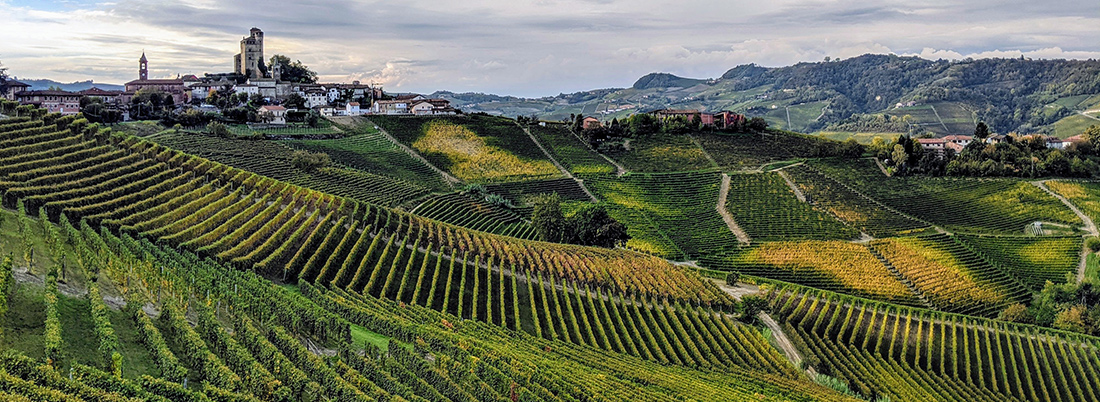 Descubre los vinos de Piamonte