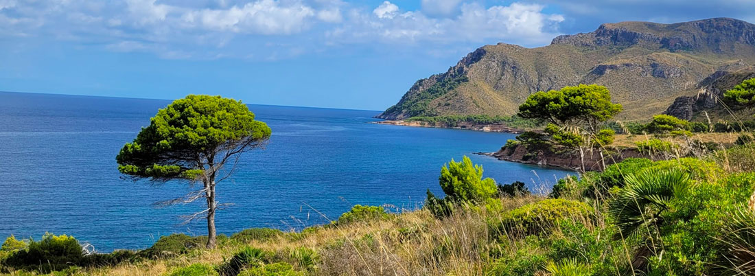 Mallorca: distrútala también en otoño