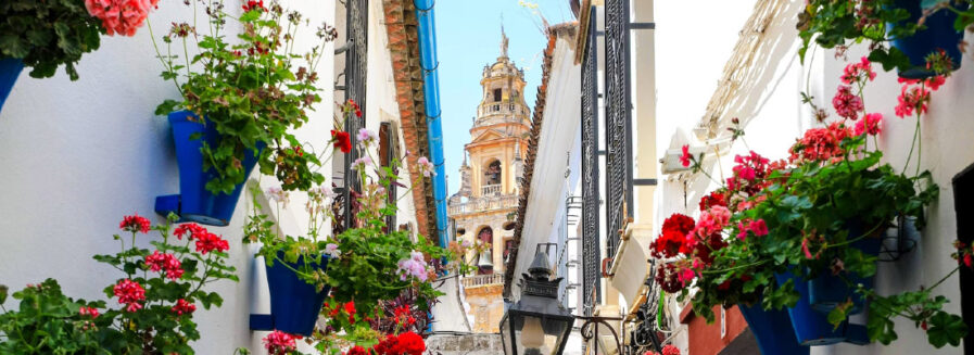 Córdoba: una explosión de vida y color