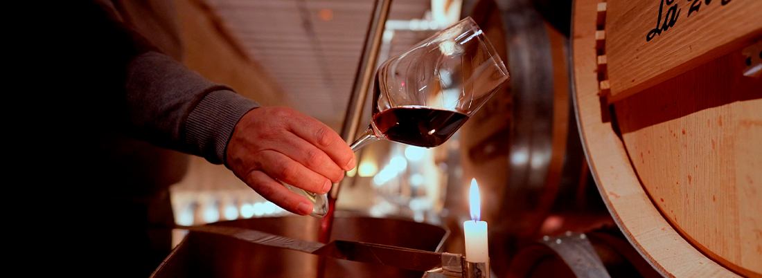 Rioja, la tierra de los mil vinos