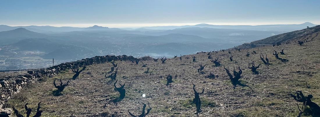 Gredos, granito y Garnacha: la fórmula mágica de las tres ges