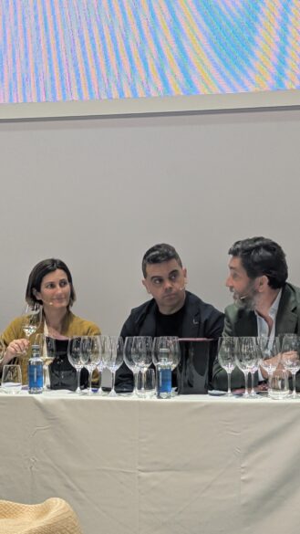 María Urrutia, Pedro Ruiz y Gonzalo Iturriaga en la mesa redonda.