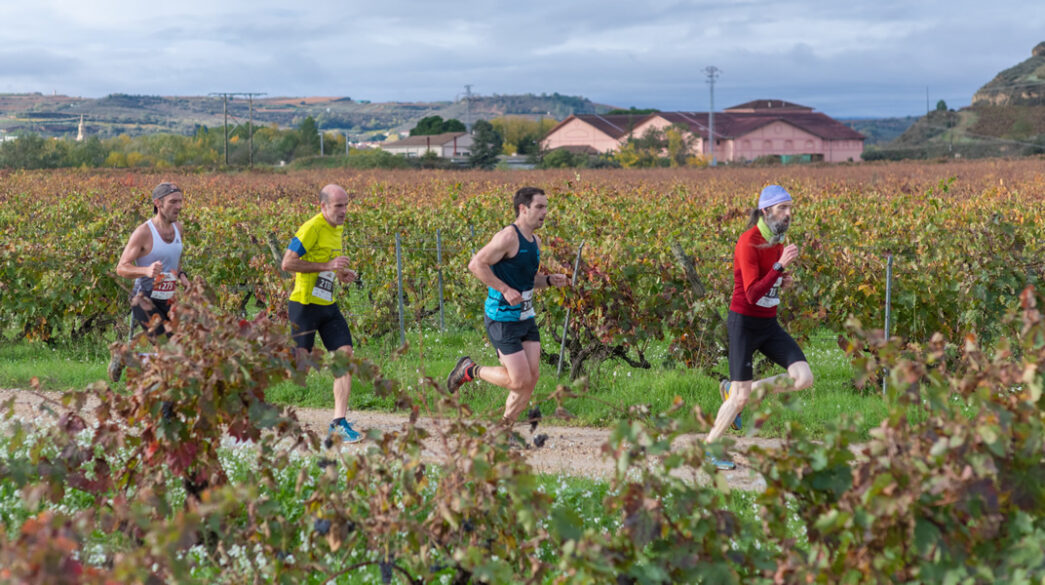 Corredores participando en una de las últimas ediciones de la Wine Run Rioja Alavesa.