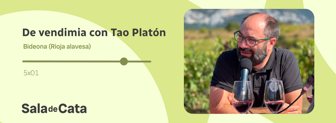 De vendimia con Tao Platón en ‘Sala de Cata’