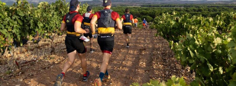 ‘Running’ y vino: 10 planes para correr entre viñedos y bodegas