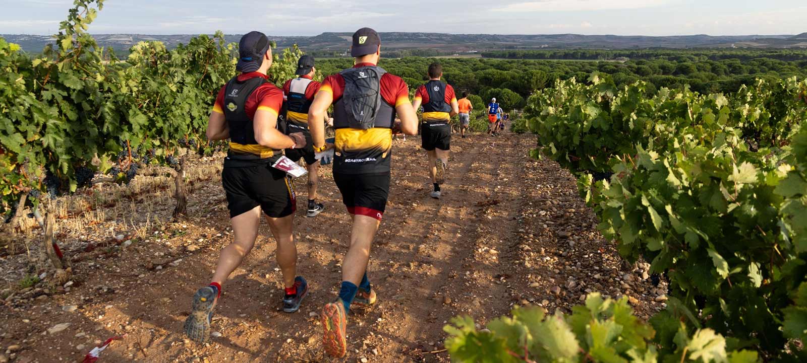 ‘Running’ y vino: 10 planes para correr entre viñedos y bodegas