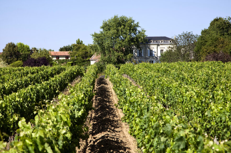 Viñedos de Château Tessendey en Fronsac con la bodega al fondo