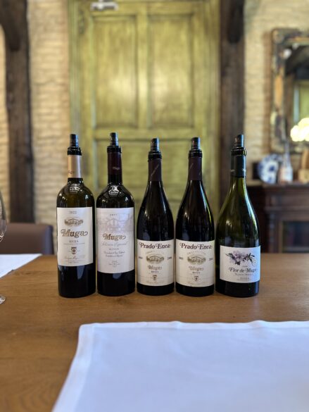 Vinos catados durante el evento