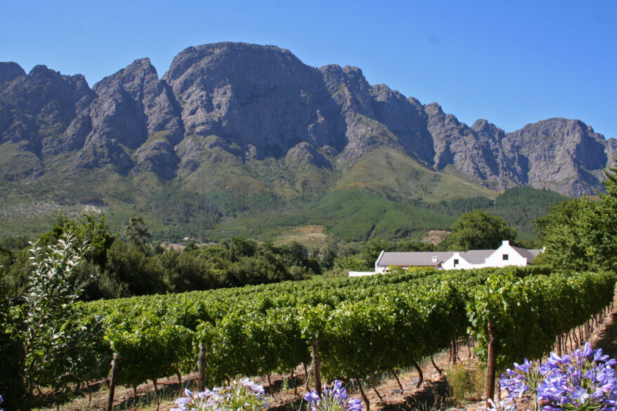 El imponente paisaje de la bodega Boekenhoutskloof en Sudáfrica, con las montañas inmensas detrás en medio de un valle verde
