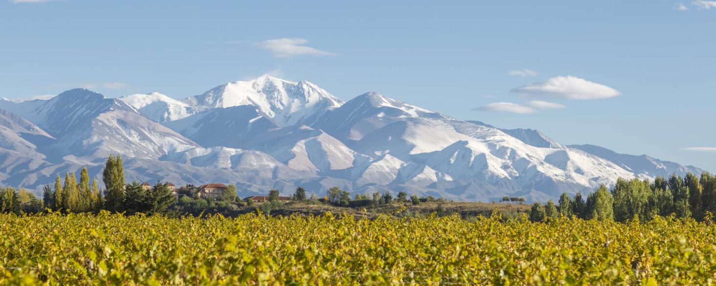 Viñas con los Andes de fondo, de Catena Zapata 