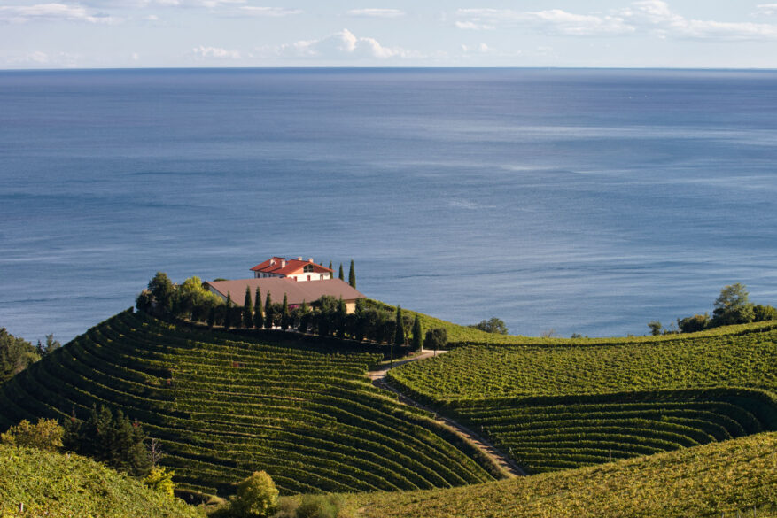 Txakoli: viñedo y bodega de Txomin Etxaniz en una colina de Getaria con vistas al mar Cantábrico