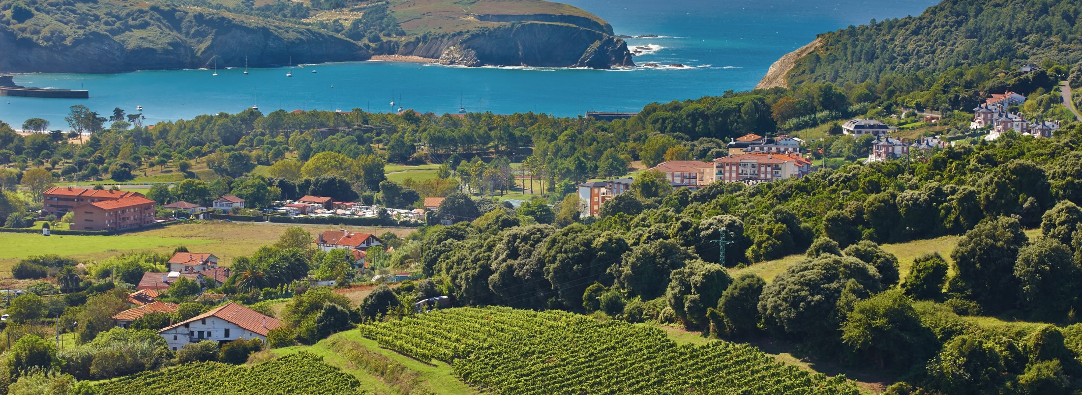 Txakoli: el vino del caserío sueña en grande