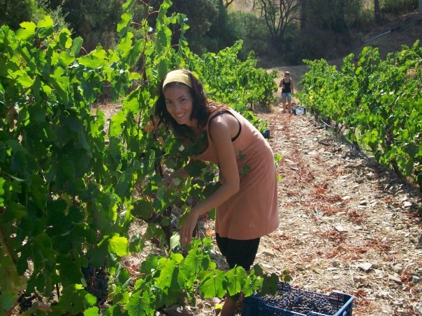 Priorat para principiantes: la enóloga Sara Pérez vendimiando en los viñedos de sus bodega familiar Mas Martinet