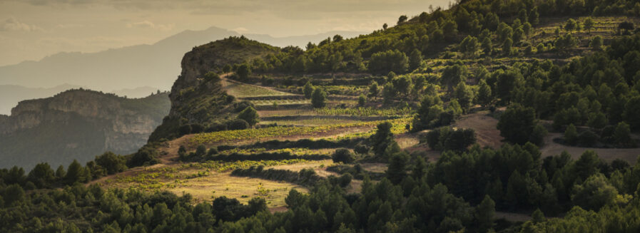 Priorat para principiantes
