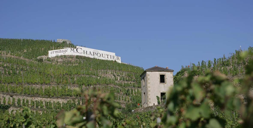 Entorno de la bodega M.Chapoutier