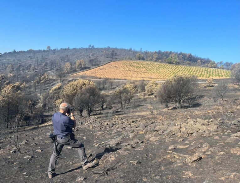 Panorámica que demuestra el efecto de cortafuegos de los viñedos. Foto de SotoManrique Bodegas.