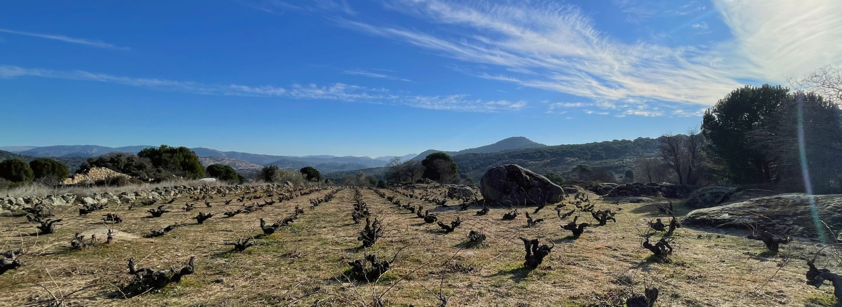 Gredos 2026: una añada marcada por el fuego