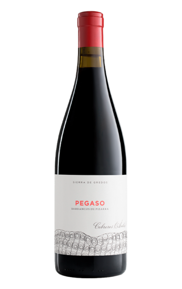 Botella de Pegaso Pizarra