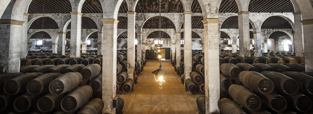Jerez de la Frontera: la ciudad milenaria que sabe a vino
