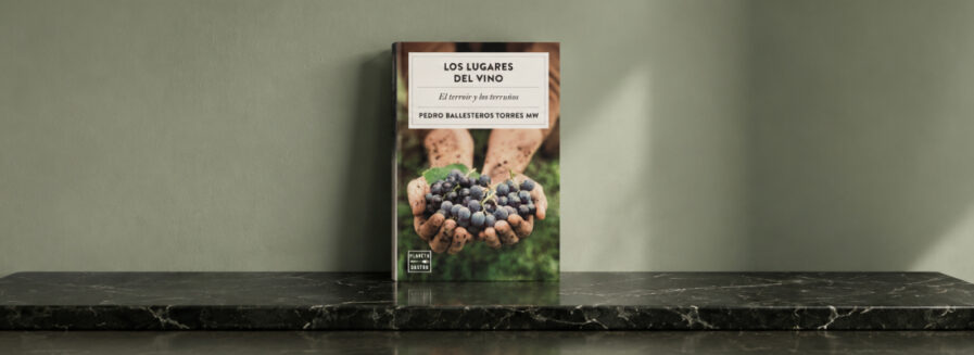 Los lugares del vino, una reflexión sobre el ‘terroir’ y los terruños