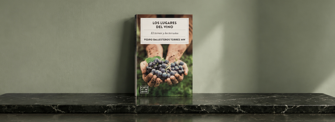 Los lugares del vino, una reflexión sobre el ‘terroir’ y los terruños