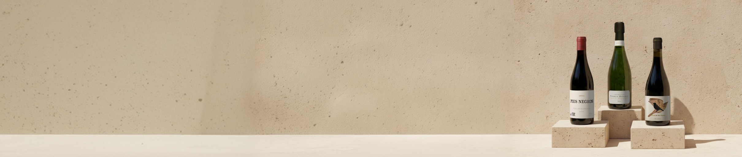 Banner: Los flechazos de Ana