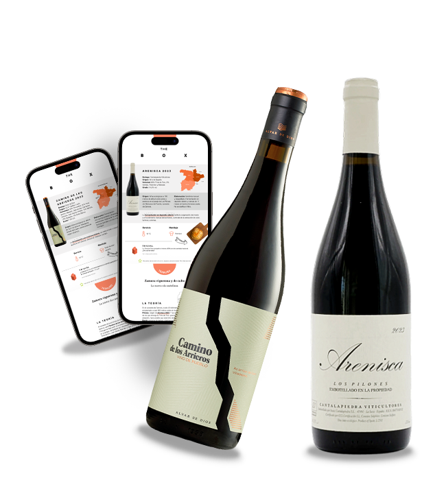 Zamora vignerona y de culto