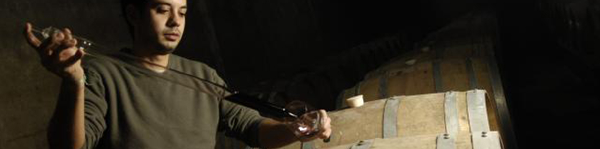 Productor: Bodega Giménez Méndez