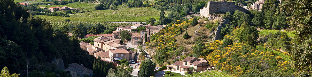 Productor: Halos de Jupiter