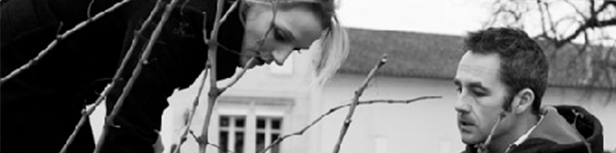 Productor: Château Les Hauts-Conseillants