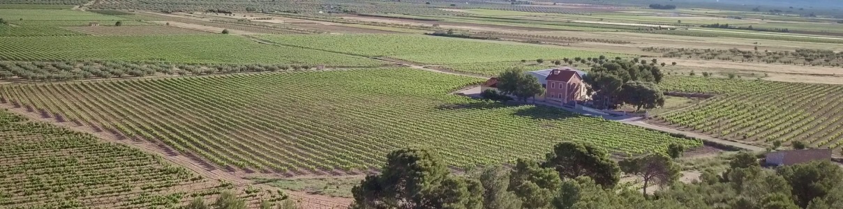 Productor: Casa Balaguer