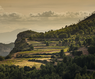 Banner: Guía del Priorat para principiantes