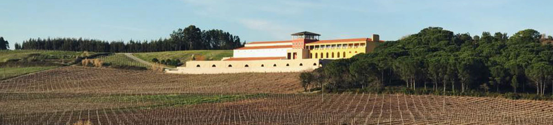 Campolargo