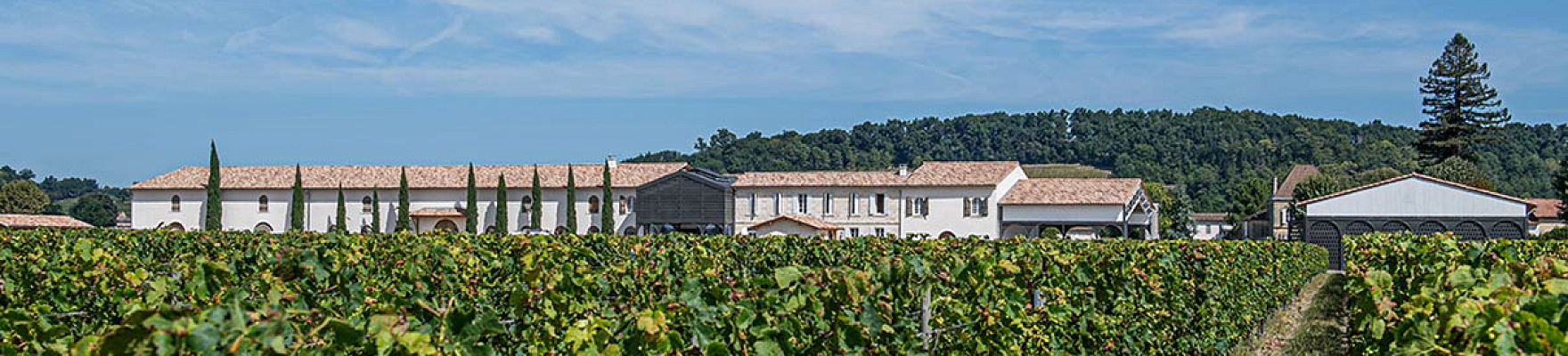 Château Fleur de Lisse
