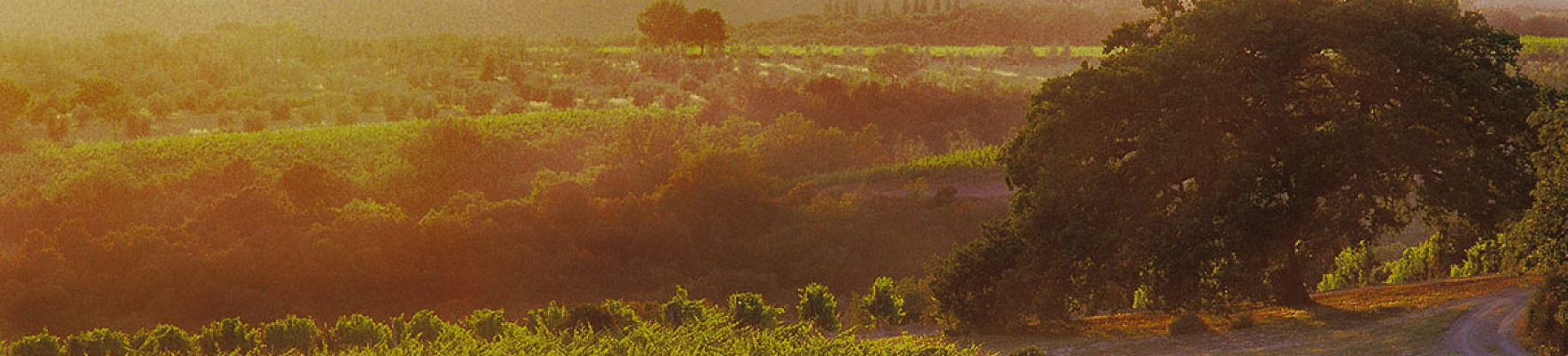 Col D'Orcia