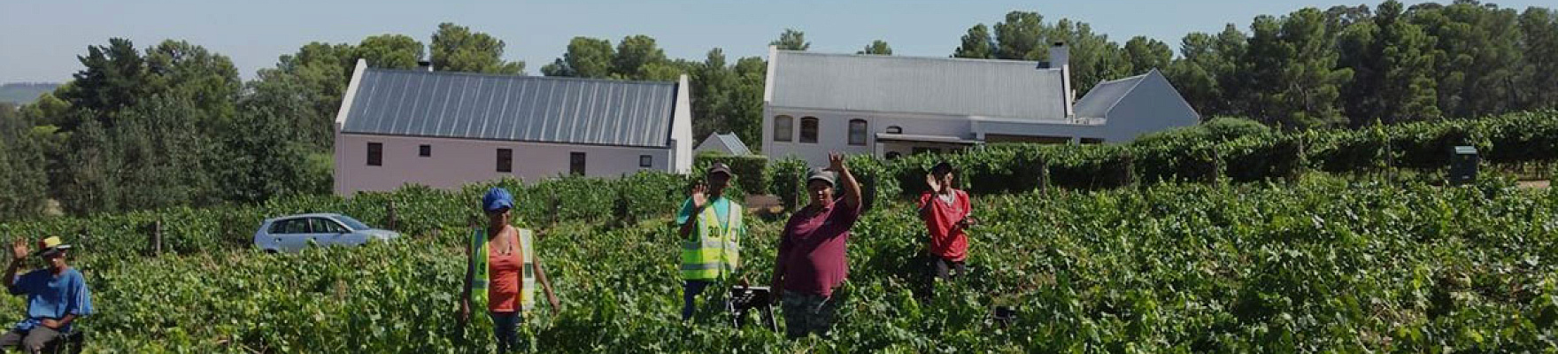 Diemersfontein Wine & Country Estate