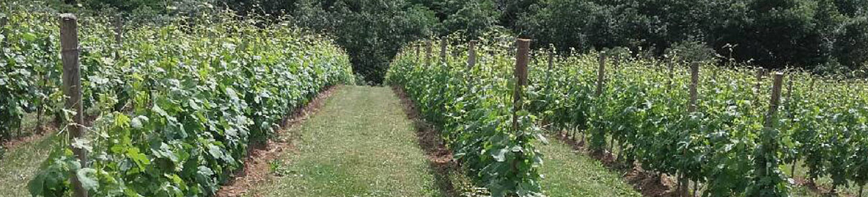 Domaine du Monteillet