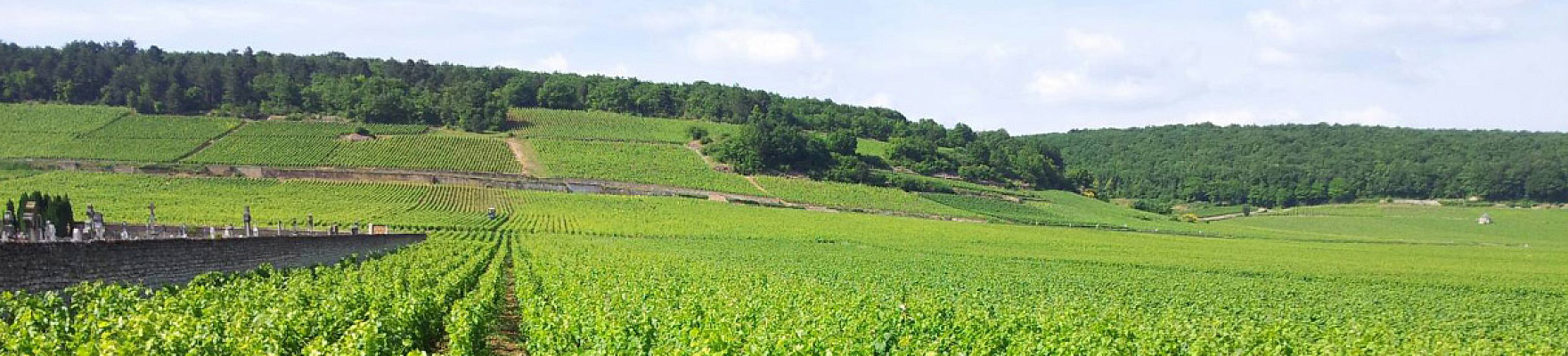 Domaine Petit-Roy